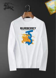 Picture of Burberry T Shirt Long _SKUBurberryM-3XL25tn0249907